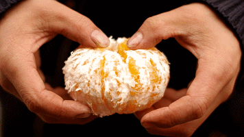 2.gif