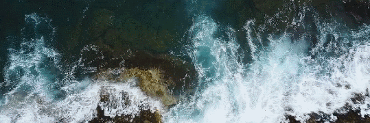 微信圖片_20190625162918.gif