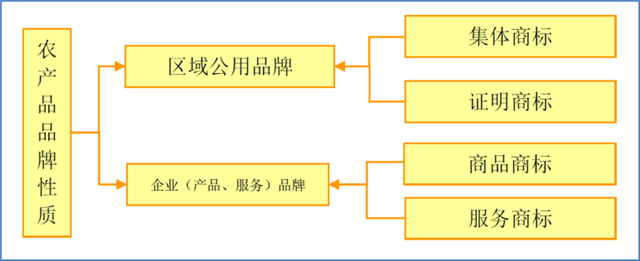 圖片3.png
