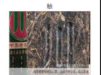1589362054.jpg 微信圖片_20200513171722.jpg