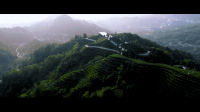 微信圖片_20200522114042.gif