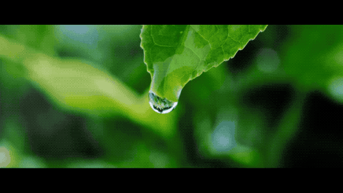 微信圖片_20200522114045.gif