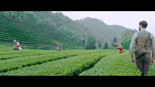 微信圖片_20200522114052.gif