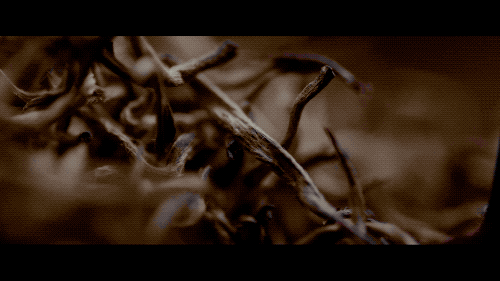 微信圖片_20200522114108.gif
