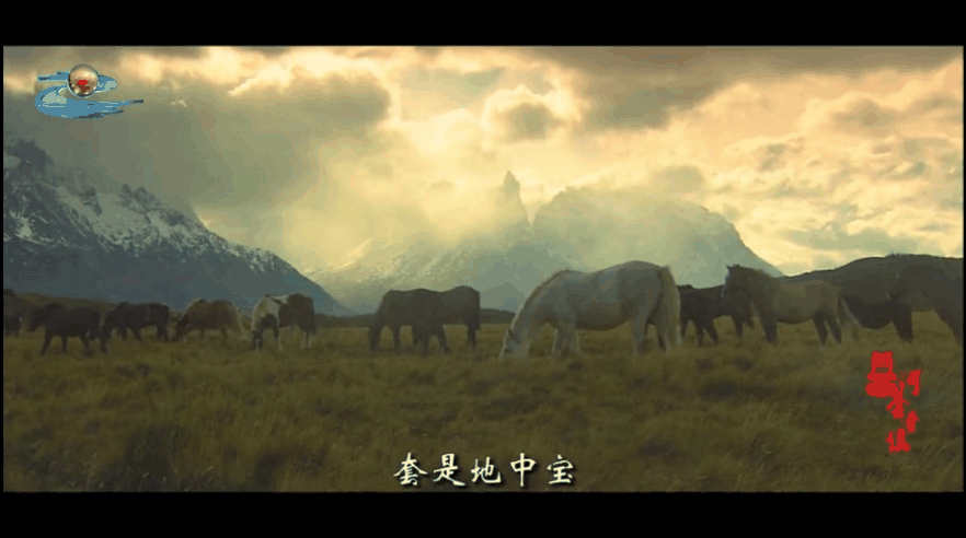 微信圖片_20200903105250.png