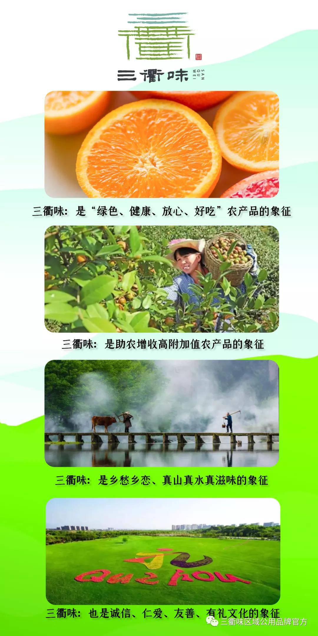 微信圖片_20200917112915.jpg
